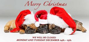 Veterinarian Holiday Hours