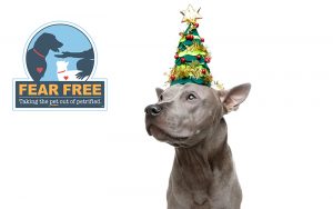 New Years Activity tips for dogs