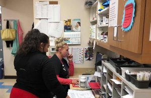 Veterinarian Services