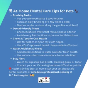 At-Home Dental Care Tips for Pets 🐾 Brushing Basics Use pet-safe toothpaste and toothbrushes. Focus on daily brushing or a few times a week. Gentle circular motions along the gumline work best! Dental-Friendly Treats Choose textured treats that reduce plaque and tartar. - Avoid overly hard options to prevent tooth fractures. - **Chews & Toys for Oral Health** - Opt for rubber or nylon toys with ridges. - Use VOHC-approved dental chews—safe & effective! - **Water Additives & Rinses** - Add dental solutions to water bowls for fresh breath. - Use antimicrobial rinses to reduce bacteria buildup. - **Stay Alert** - Watch for signs like bad breath, bleeding gums, or tartar. - Contact your vet if chewing becomes difficult or painful. 💖 **Healthy Smiles Start at Home!** Ask your vet about safe dental products or schedule a professional cleaning at TLC Pet Hospital.